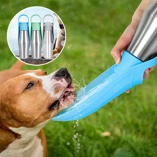 gourde-pour-chien-couleur