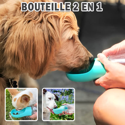 Gourde pour chien- Duo attache
