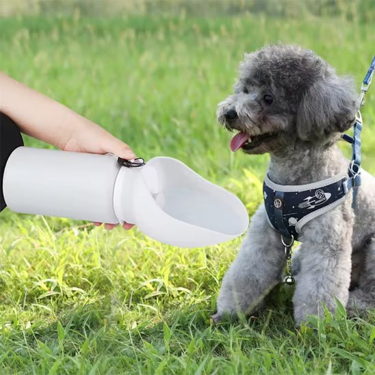 Gourde pour chien - Flexi - gourde - Le Chihuahua Voyageur