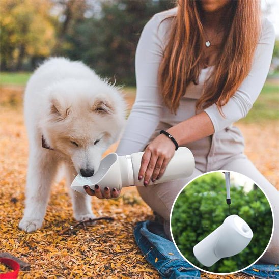 Gourde pour chien - Flexi - gourde - Le Chihuahua Voyageur