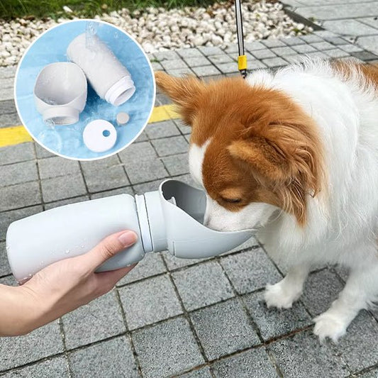 Gourde pour chien - Flexi - gourde - Le Chihuahua Voyageur