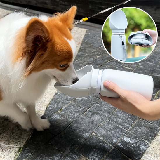 Gourde pour chien - Flexi - gourde - Le Chihuahua Voyageur