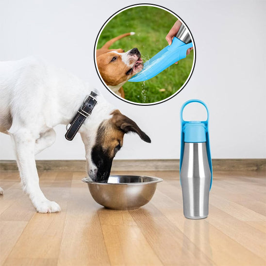 gourde-pour-chien-inoxidable