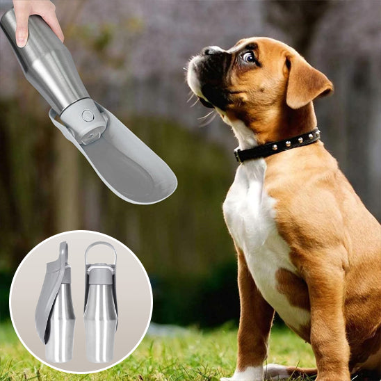 gourde-pour-chien-pliable