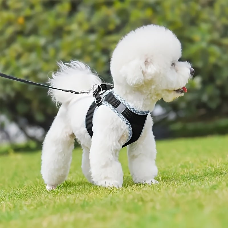 Harnais chien - Adventures Parfaites - Le Chihuahua Voyageur