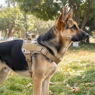 Harnais chien | Anti-Traction - Le Chihuahua Voyageur