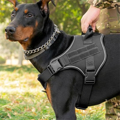 Harnais chien | Anti-Traction - Le Chihuahua Voyageur