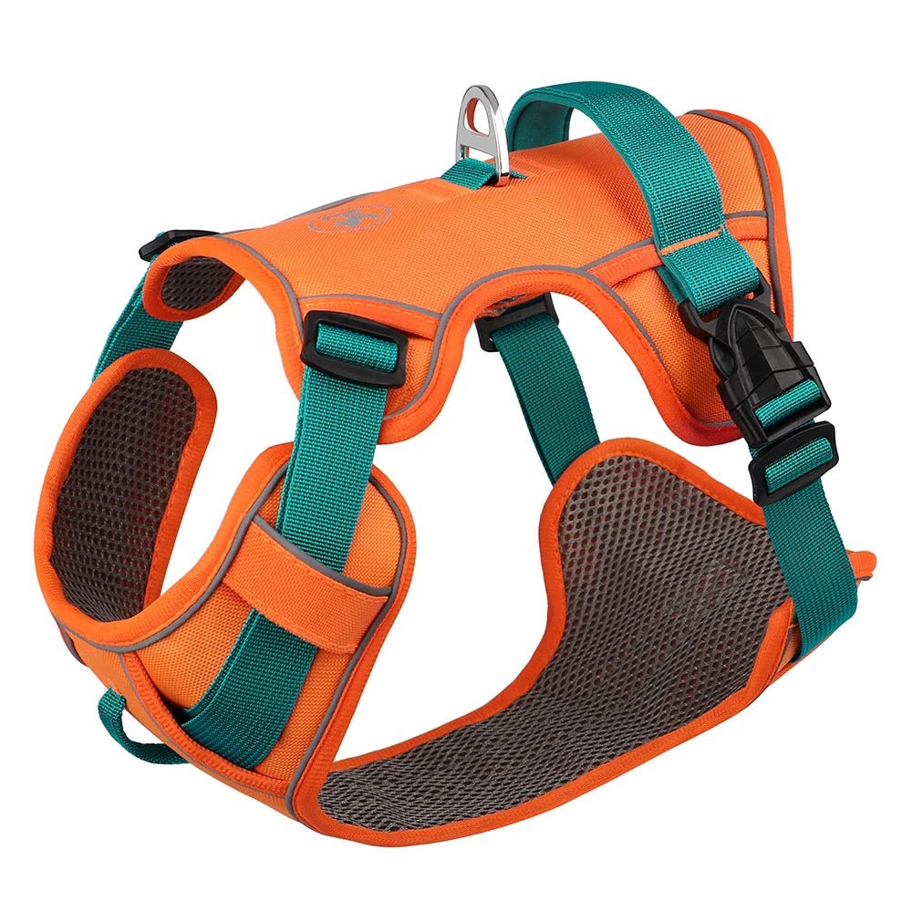 Harnais chien anti traction - Robuste Didog - Le Chihuahua Voyageur