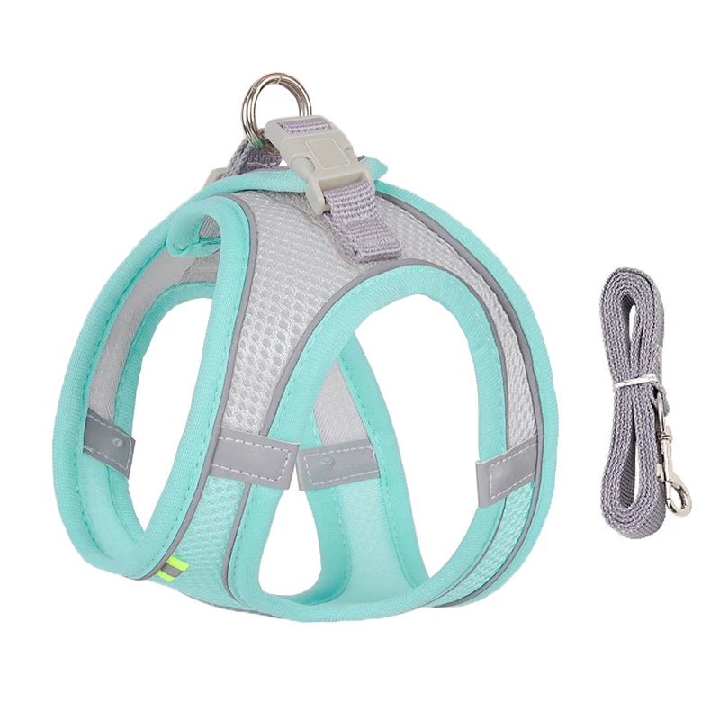 Harnais chien - CDDMPET Set Outdoor - Le Chihuahua Voyageur