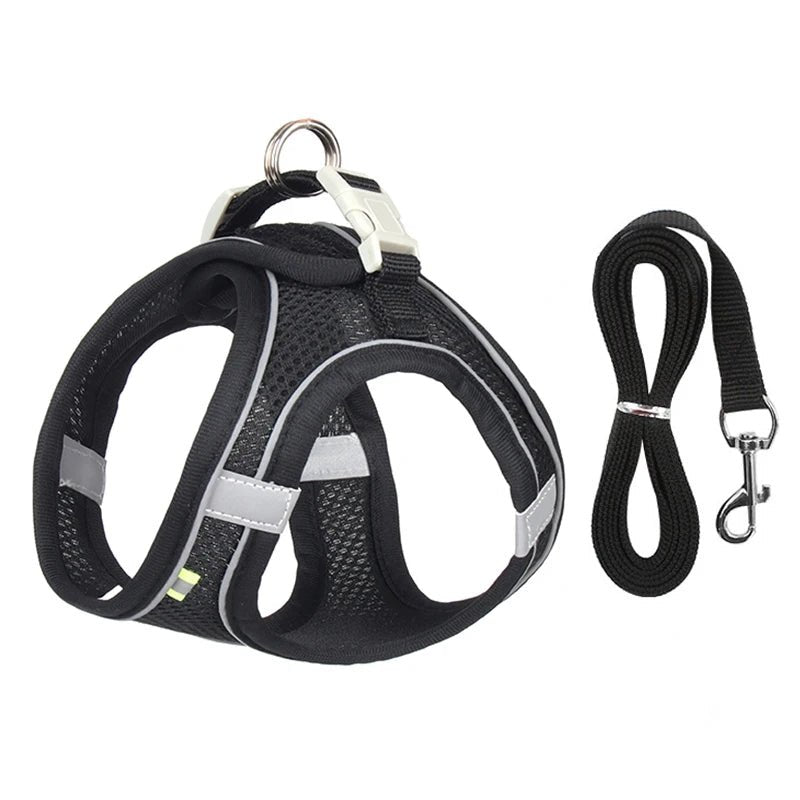 Harnais chien - CDDMPET Set Outdoor - Le Chihuahua Voyageur
