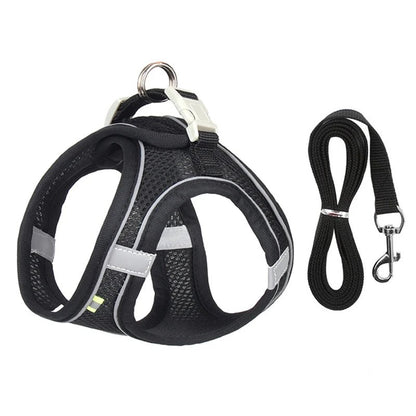 Harnais chien - CDDMPET Set Outdoor - Le Chihuahua Voyageur