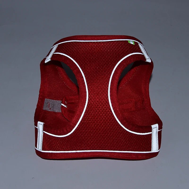 Harnais chien - CDDMPET Set Outdoor - Le Chihuahua Voyageur