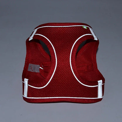 Harnais chien - CDDMPET Set Outdoor - Le Chihuahua Voyageur
