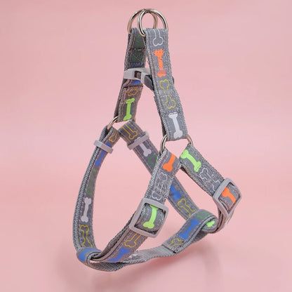 Harnais chien - Colorful bone tripod - Le Chihuahua Voyageur