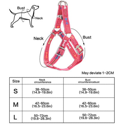 Harnais chien - Colorful bone tripod - Le Chihuahua Voyageur
