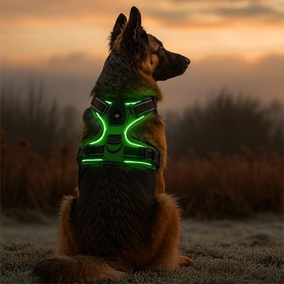Harnais chien | Comfort Plus - Le Chihuahua Voyageur