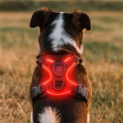 Harnais chien | Comfort Plus - Le Chihuahua Voyageur