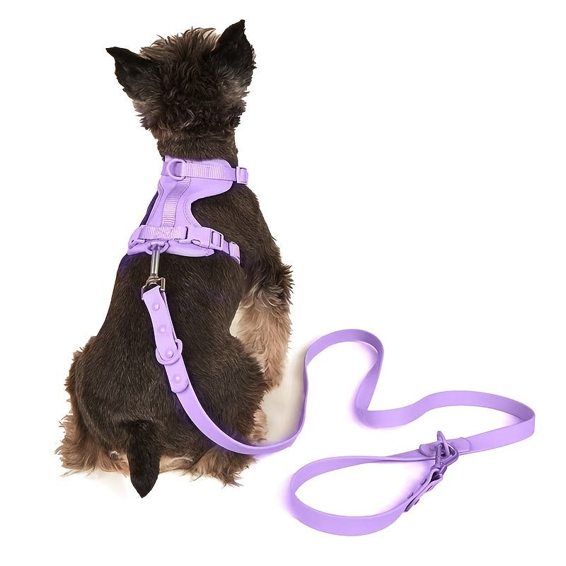 Harnais chien - Ensemble Laisse - Harnais Waterproof - Le Chihuahua Voyageur