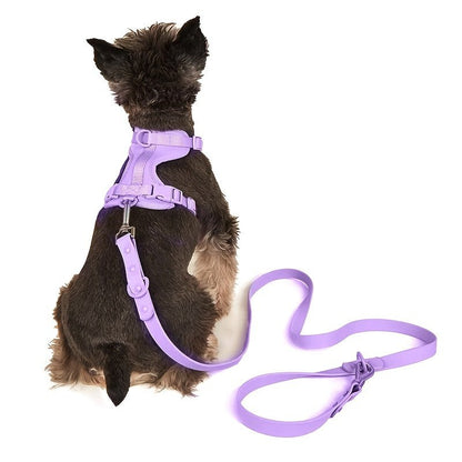 Harnais chien - Ensemble Laisse - Harnais Waterproof - Le Chihuahua Voyageur
