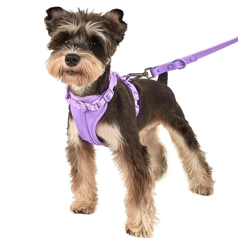 Harnais chien - Ensemble Laisse - Harnais Waterproof - Le Chihuahua Voyageur