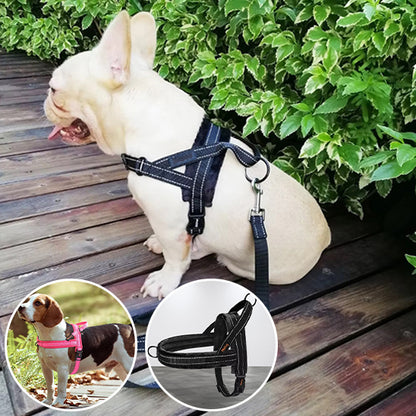 Harnais chien anti traction- No choking