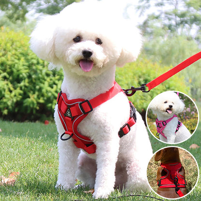 Harnais chien anti traction- PETCUTE