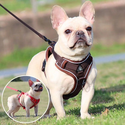 Harnais chien anti traction- PETCUTE