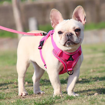 Harnais chien anti traction- PETCUTE