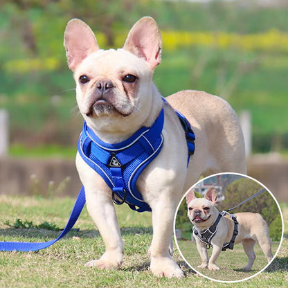 Harnais chien anti traction- PETCUTE