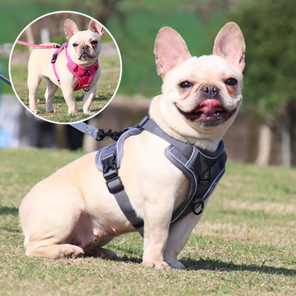 Harnais chien anti traction- PETCUTE