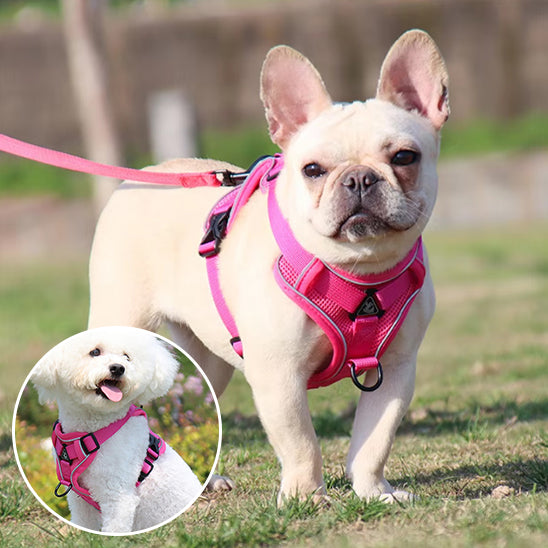 Harnais chien anti traction- PETCUTE