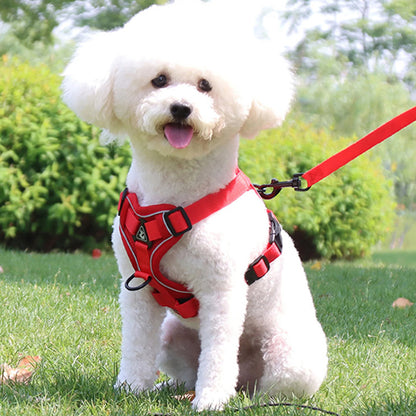 Harnais chien anti traction- PETCUTE