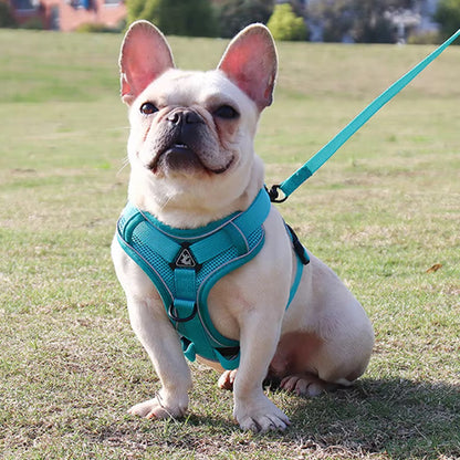 Harnais chien anti traction- PETCUTE