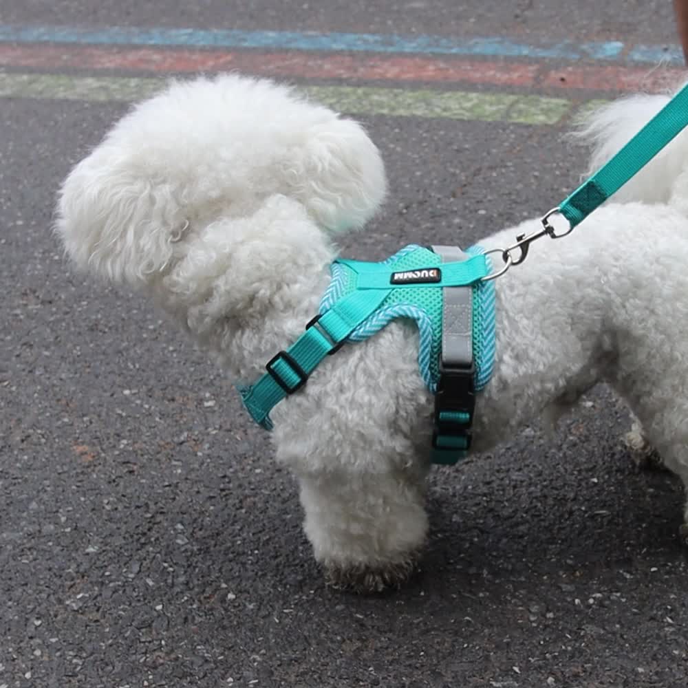 Harnais chien - Reflective Chest - Le Chihuahua Voyageur