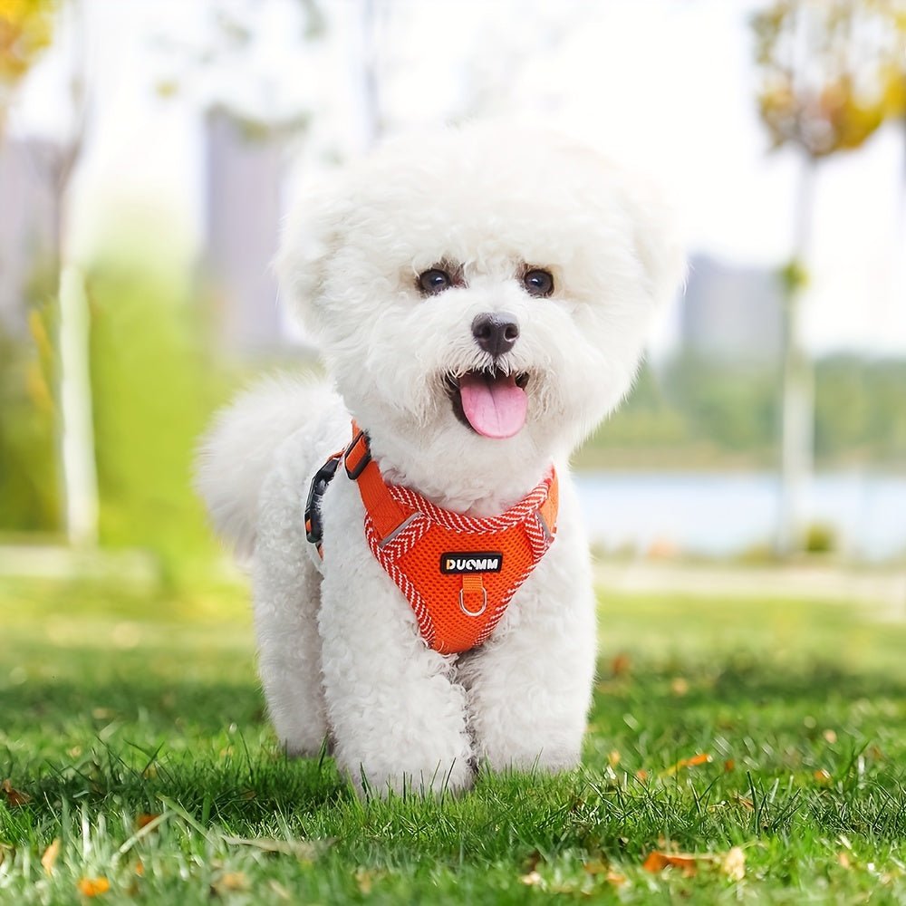 Harnais chien - Reflective Chest - Le Chihuahua Voyageur