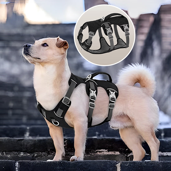 Harnais chien-Trois sangles