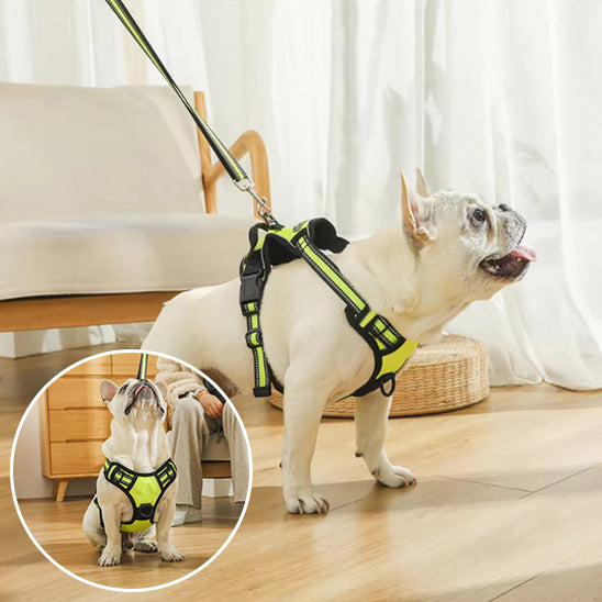 Harnais chien anti traction- True love