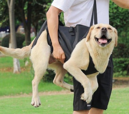 Harnais pour chien - Ceinture d'assistance - Le Chihuahua Voyageur