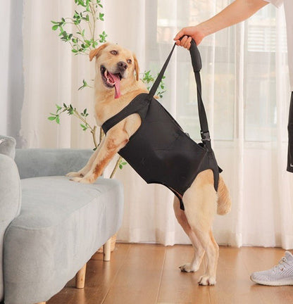 Harnais pour chien - Ceinture d'assistance - Le Chihuahua Voyageur