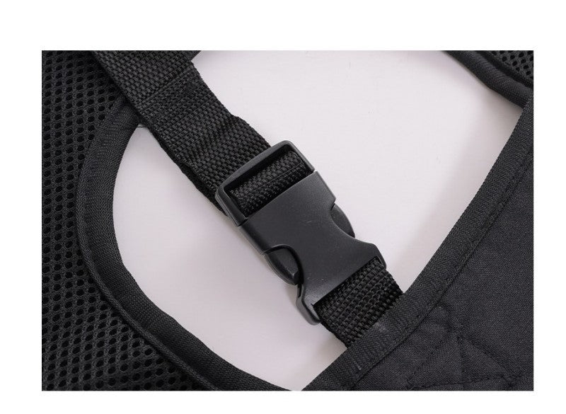 Harnais pour chien - Ceinture d'assistance - Le Chihuahua Voyageur