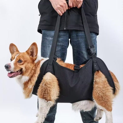 Harnais pour chien - Ceinture d'assistance - Le Chihuahua Voyageur