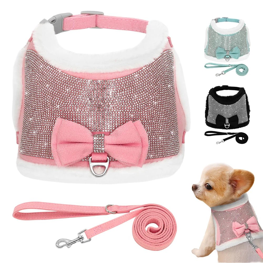 Harnais pour chien PET ARTIST - Le Chihuahua Voyageur