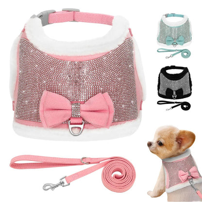 Harnais pour chien PET ARTIST - Le Chihuahua Voyageur