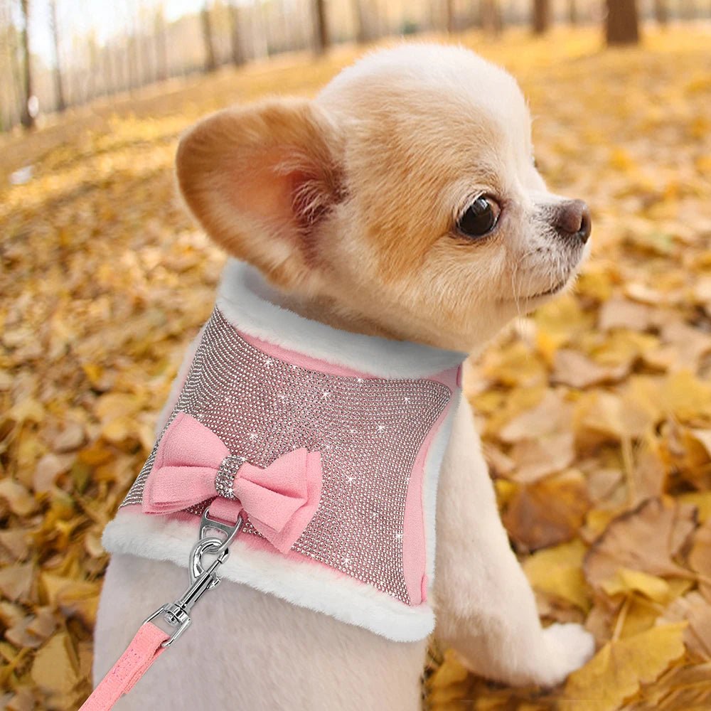 Harnais pour chien PET ARTIST - Le Chihuahua Voyageur