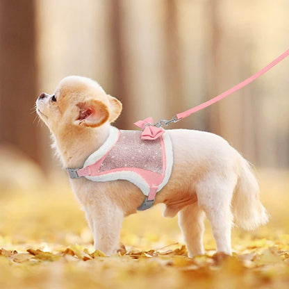 Harnais pour chien PET ARTIST - Le Chihuahua Voyageur