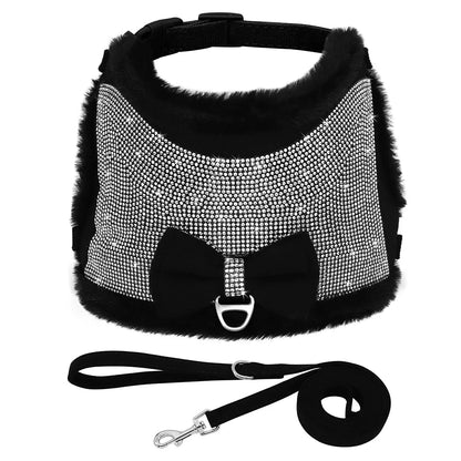 Harnais pour chien PET ARTIST - Le Chihuahua Voyageur