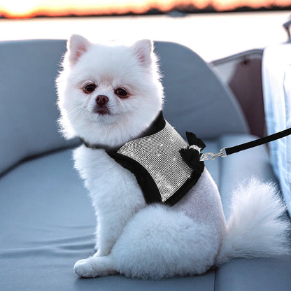 Harnais pour chien PET ARTIST - Le Chihuahua Voyageur