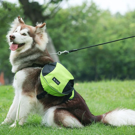 Harnais pour chien - Sac bandes réfléchissantes - Le Chihuahua Voyageur