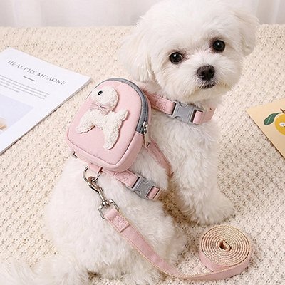 Harnais pour chien 