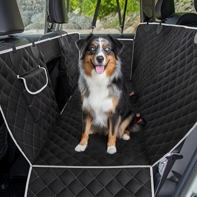 Housse voiture chien | ImperShield - Le Chihuahua Voyageur